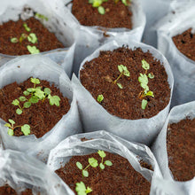 Cocopeat Block Organic Fertilizer & Potting Mixture for Home Gardening (1 KG)