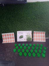 Plant Climbing Wall Fixture Clip (30 Pcs Set)